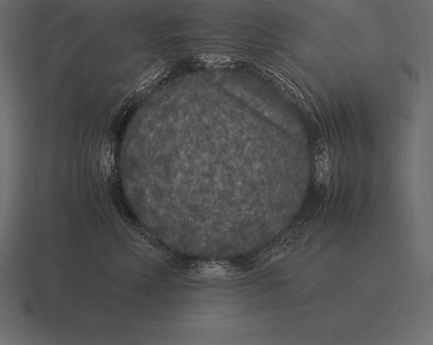 X0000116560618200912241616