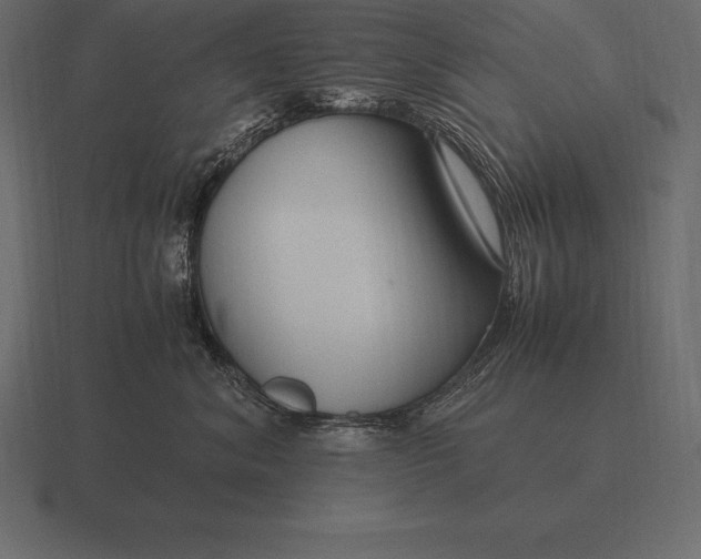 X0000116560620200912241616