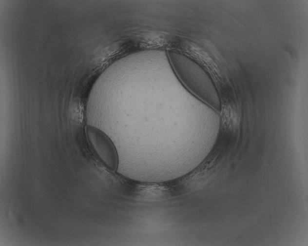 X0000116560621200912241616