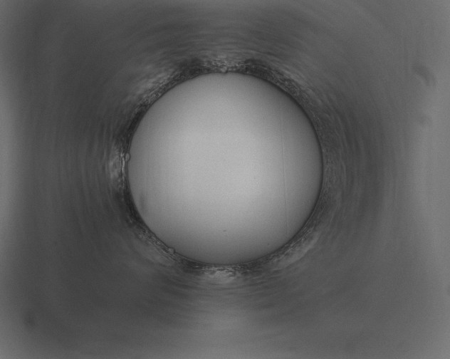 X0000116560624200912241616