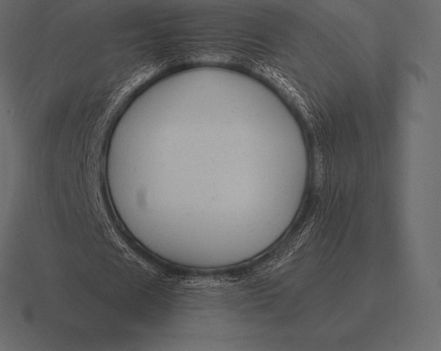 X0000116560625200912241615