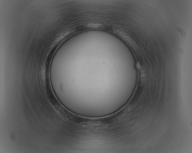 X0000116560626200912241615