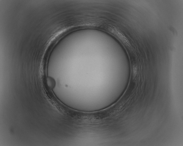 X0000116560628200912241615