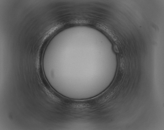 X0000116560629200912241615