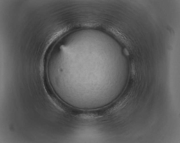 X0000116560630200912241615