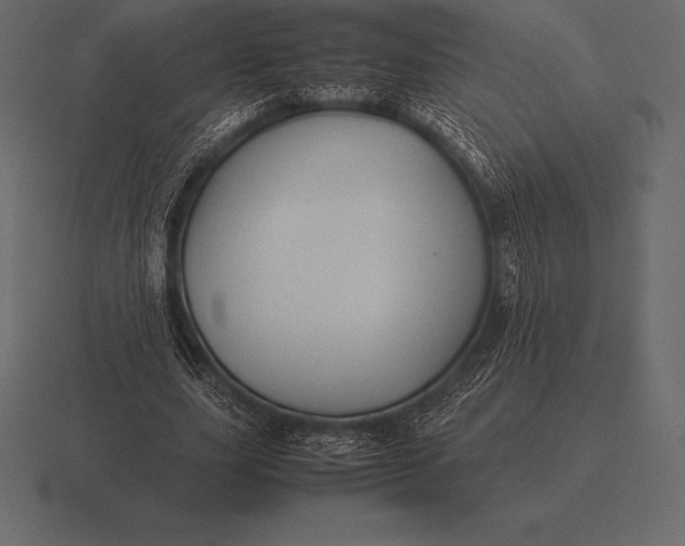 X0000116560631200912241615