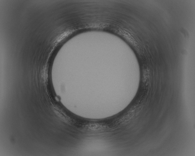 X0000116560632200912241615