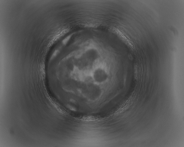 X0000116560634200912241615