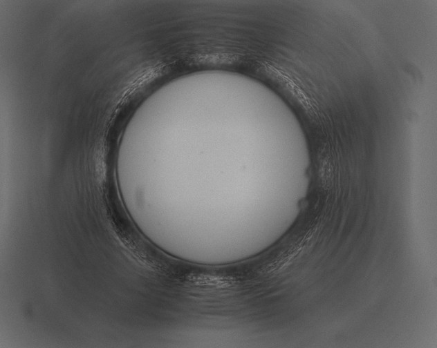 X0000116560635200912241615