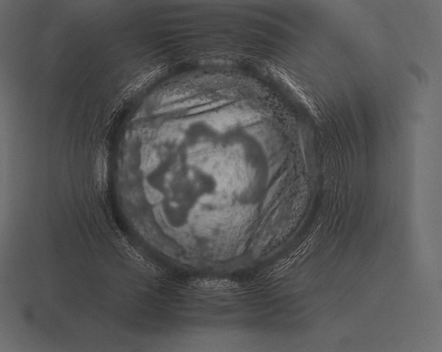 X0000116560637200912241615