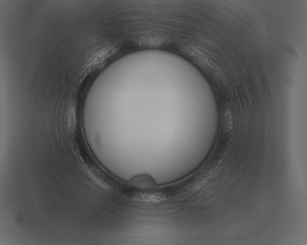 X0000116560638200912241615