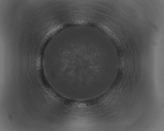 X0000116560640200912241615