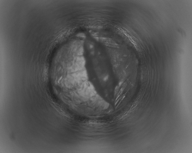 X0000116560641200912241615