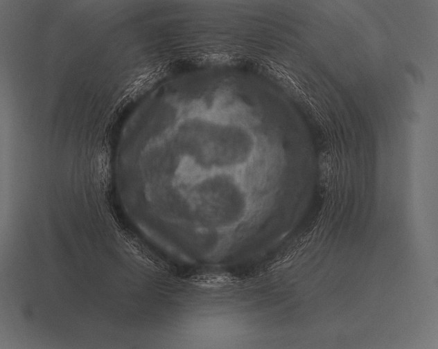 X0000116560642200912241615