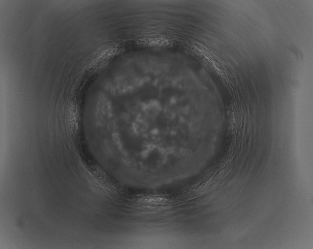 X0000116560643200912241615