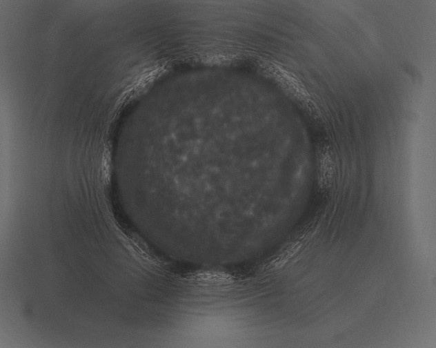 X0000116560644200912241615