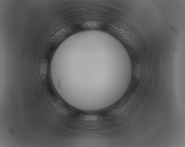 X0000116560645200912241615