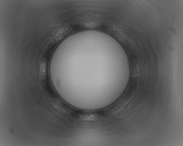 X0000116560646200912241615