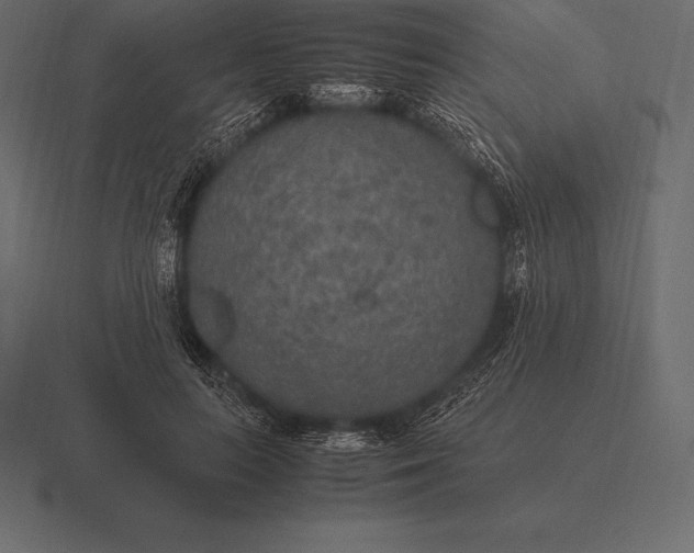 X0000116560647200912241615