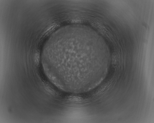 X0000116560648200912241615