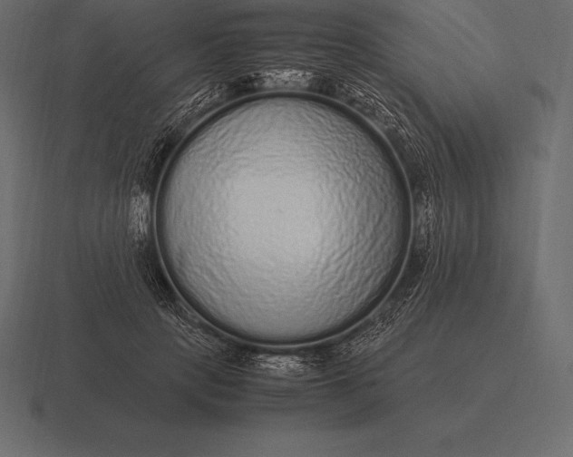 X0000116560649200912241615