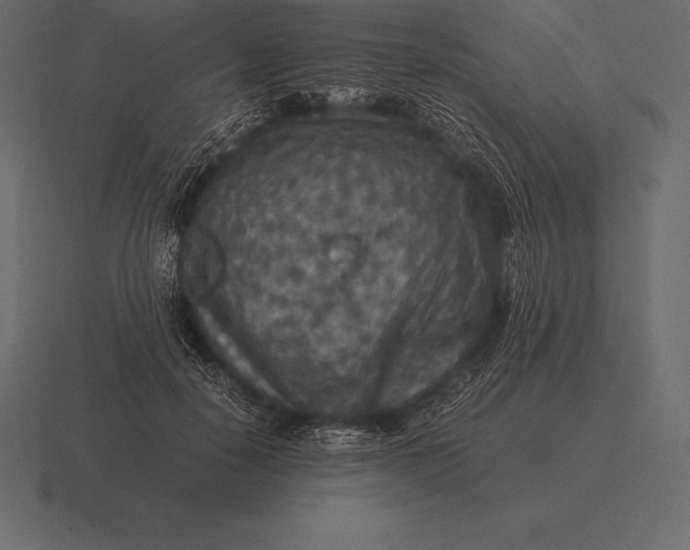 X0000116560650200912241615