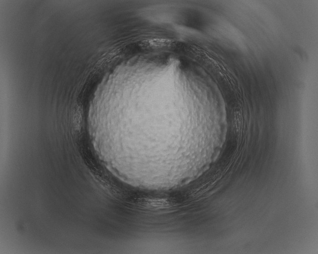 X0000116560651200912241615