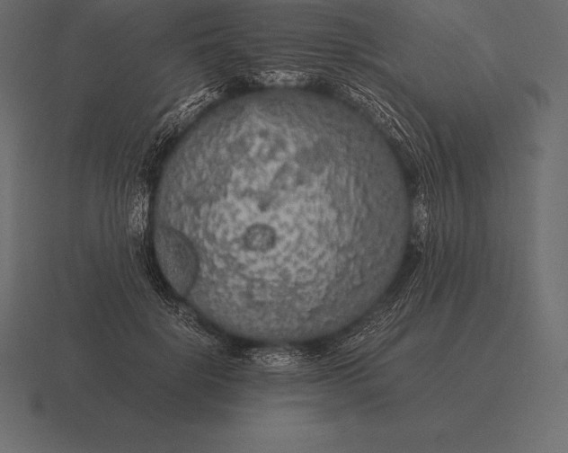 X0000116560652200912241615