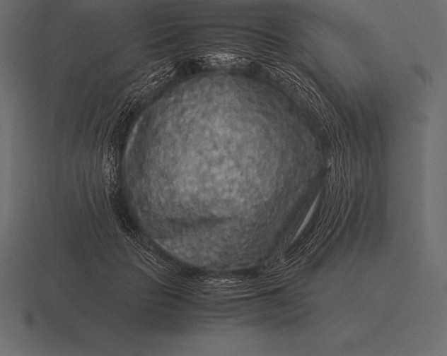 X0000116560653200912241615