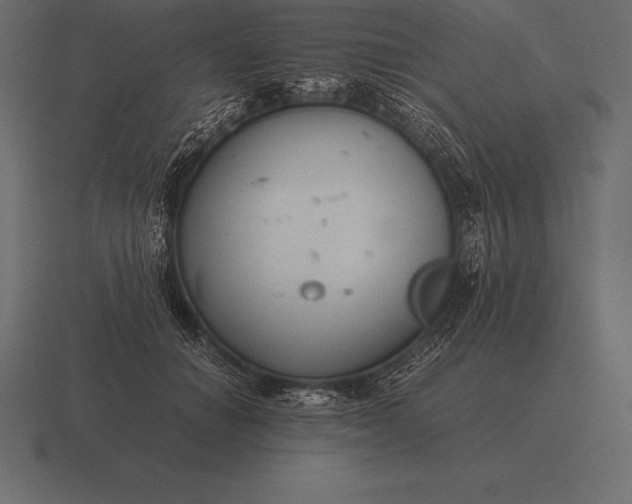 X0000116560654200912241616