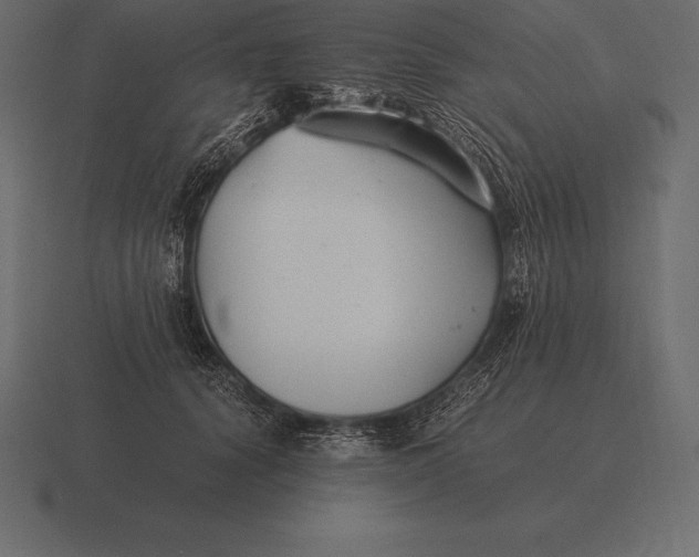 X0000116560656200912241616