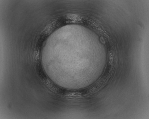 X0000116560657200912241616