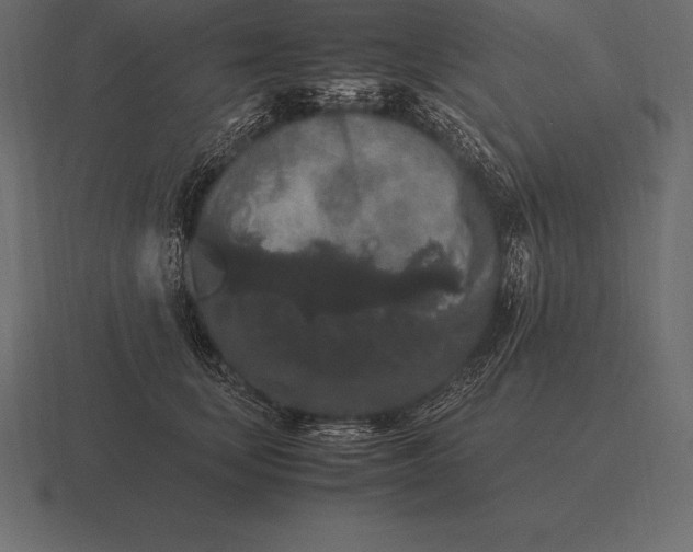 X0000116560659200912241616