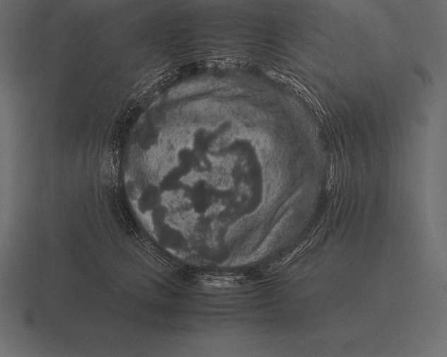 X0000116560661200912241616