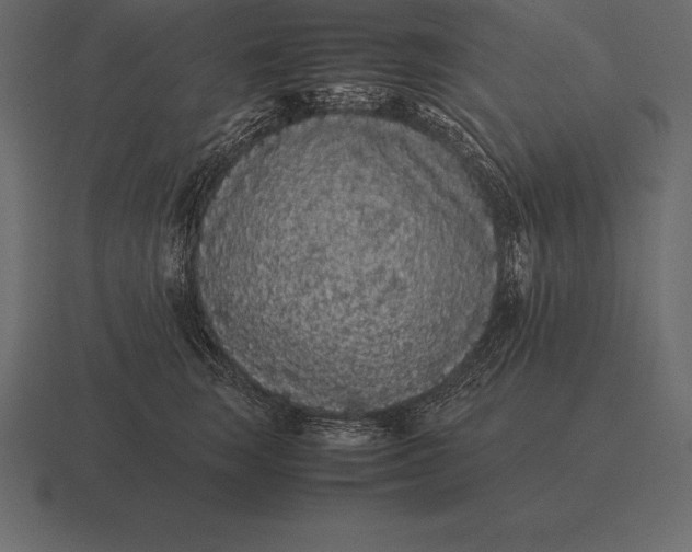 X0000116560663200912241616