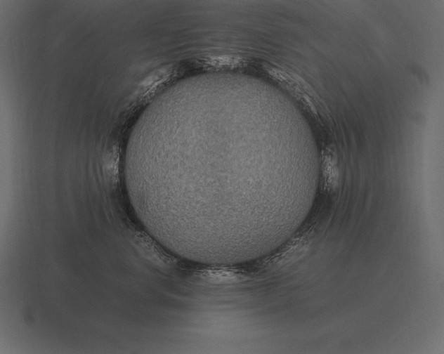 X0000116560668200912241616