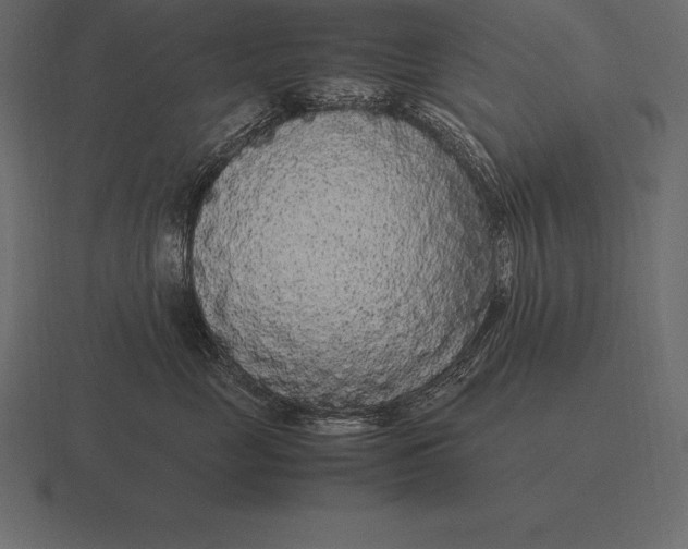 X0000116560669200912241616