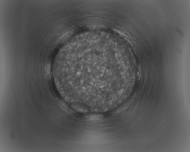 X0000116560670200912241616