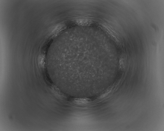 X0000116560671200912241616