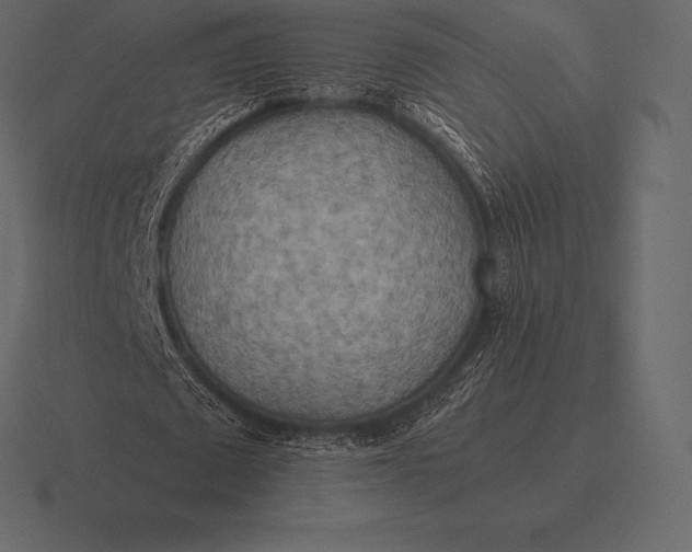 X0000116560673200912241615