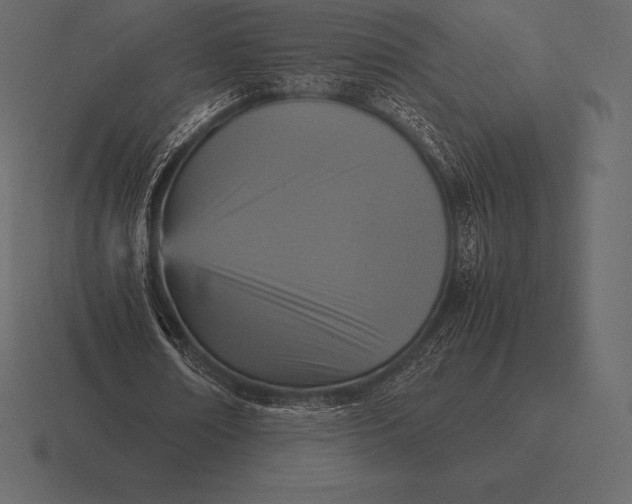 X0000116560674200912241615