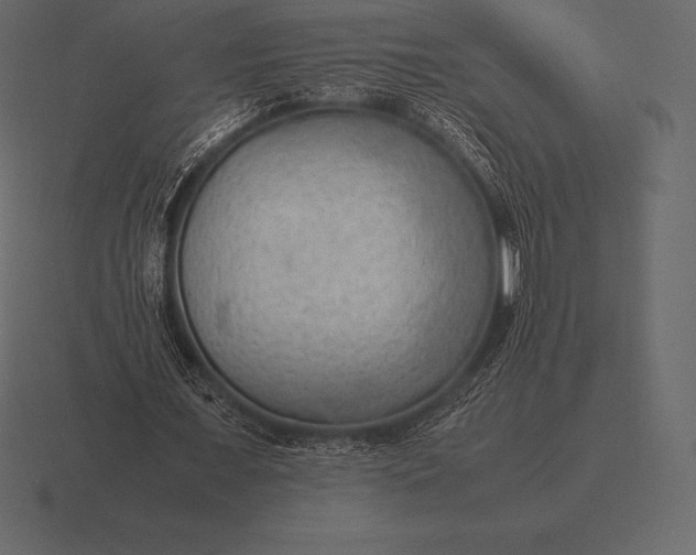 X0000116560675200912241615