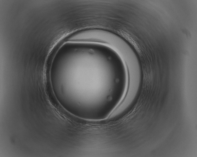 X0000116560676200912241615