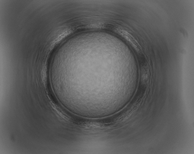 X0000116560677200912241615