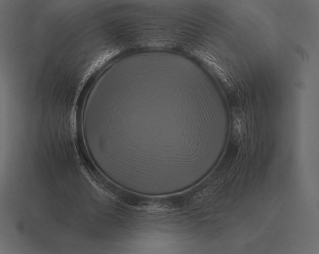 X0000116560678200912241615