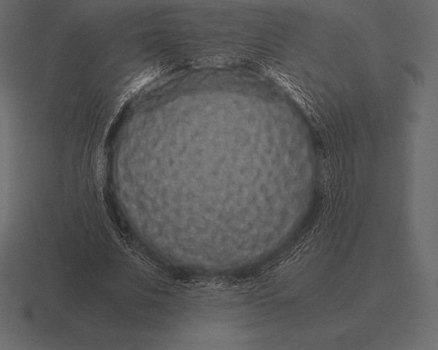 X0000116560679200912241615