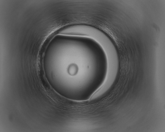 X0000116560680200912241615