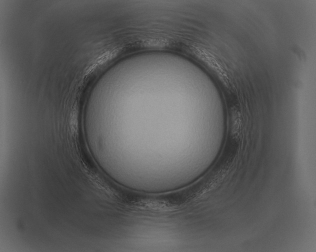 X0000116560681200912241615