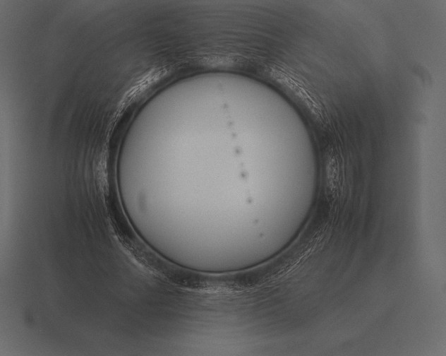 X0000116560682200912241615