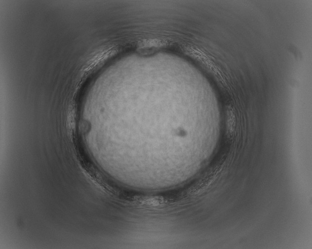 X0000116560683200912241615